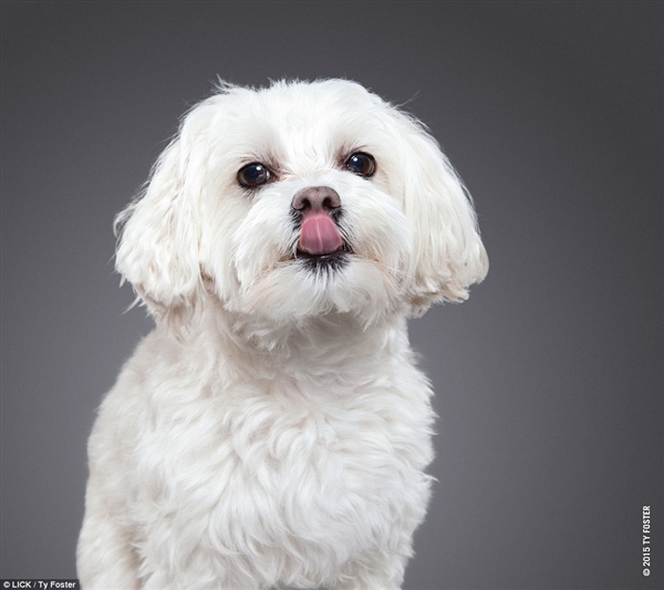 巴特勒透露:不想与唐斯在一起打球 矛盾一直没有解决:熊猫体育(图1) panda sports