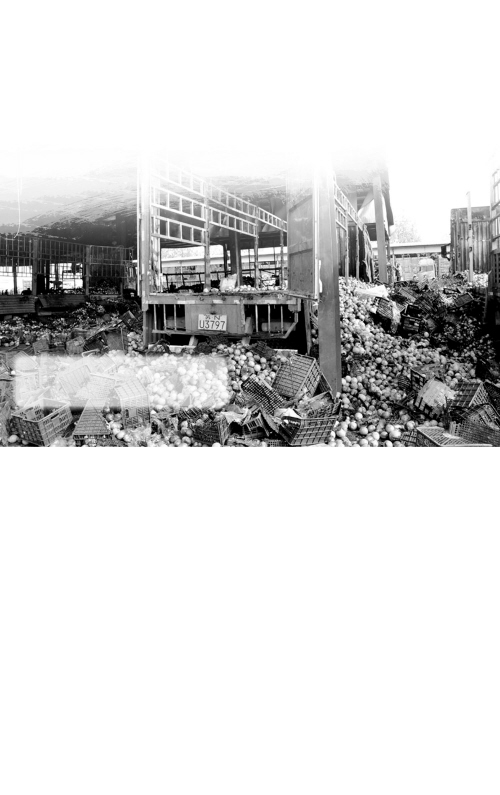 RNG公布击败TES后队员击掌时刻,好惬意!-xiongmao体育(图2) 熊猫体育